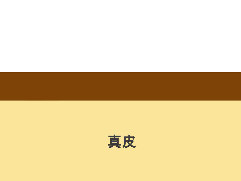 �{�H����C���[�W_Car