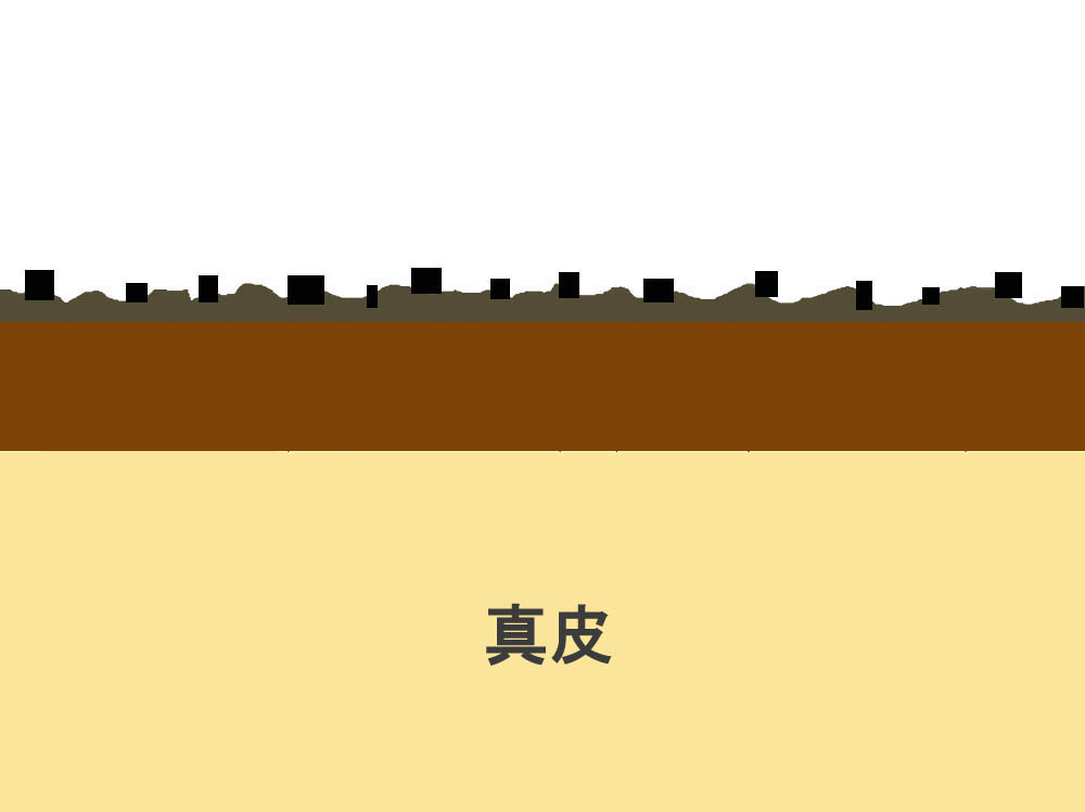 �{�H����C���[�W_Car