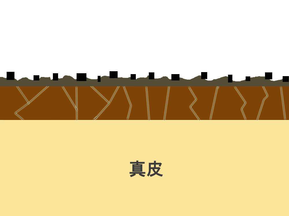 �{�H����C���[�W_Car