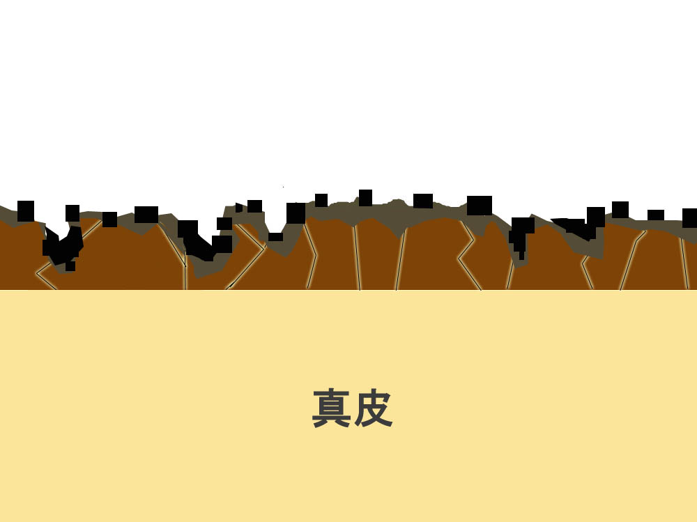 �{�H����C���[�W_Car