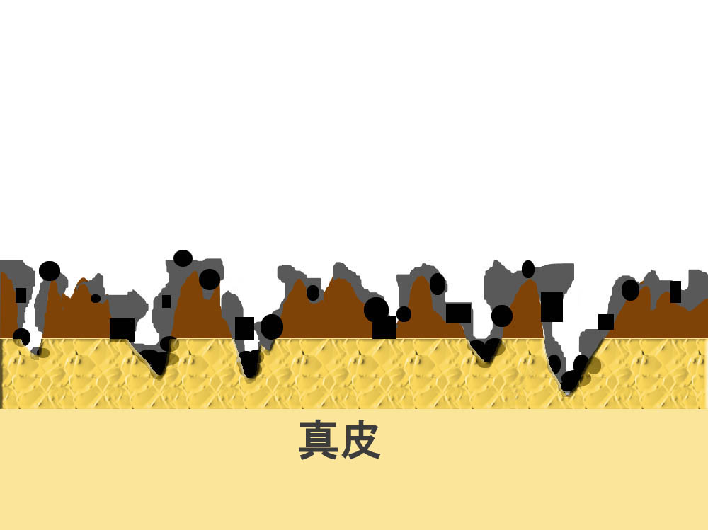 �{�H����C���[�W_Car