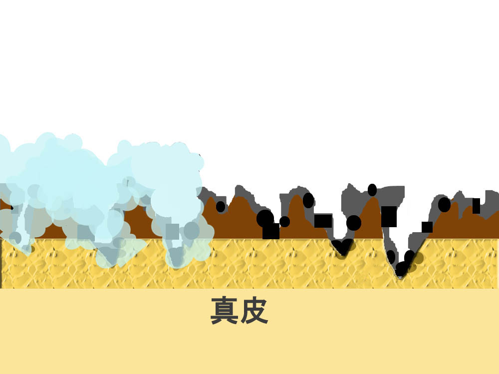 �{�H����C���[�W_Car